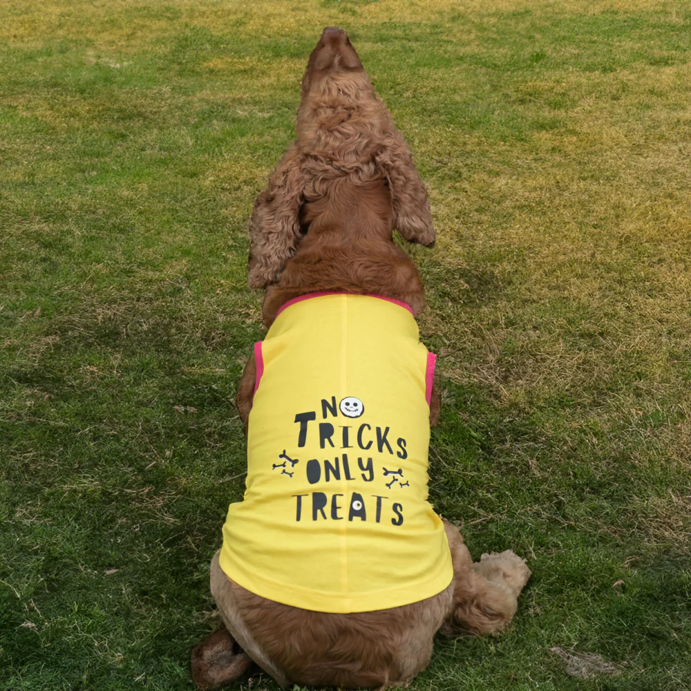 Skatrs No Tricks Only Treats Printed Summer Cotton T Shirt Dogs and Cats (Yellow) - Image 2