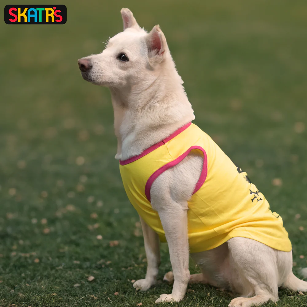 Skatrs No Tricks Only Treats Printed Summer Cotton T Shirt Dogs and Cats (Yellow) - Image 4