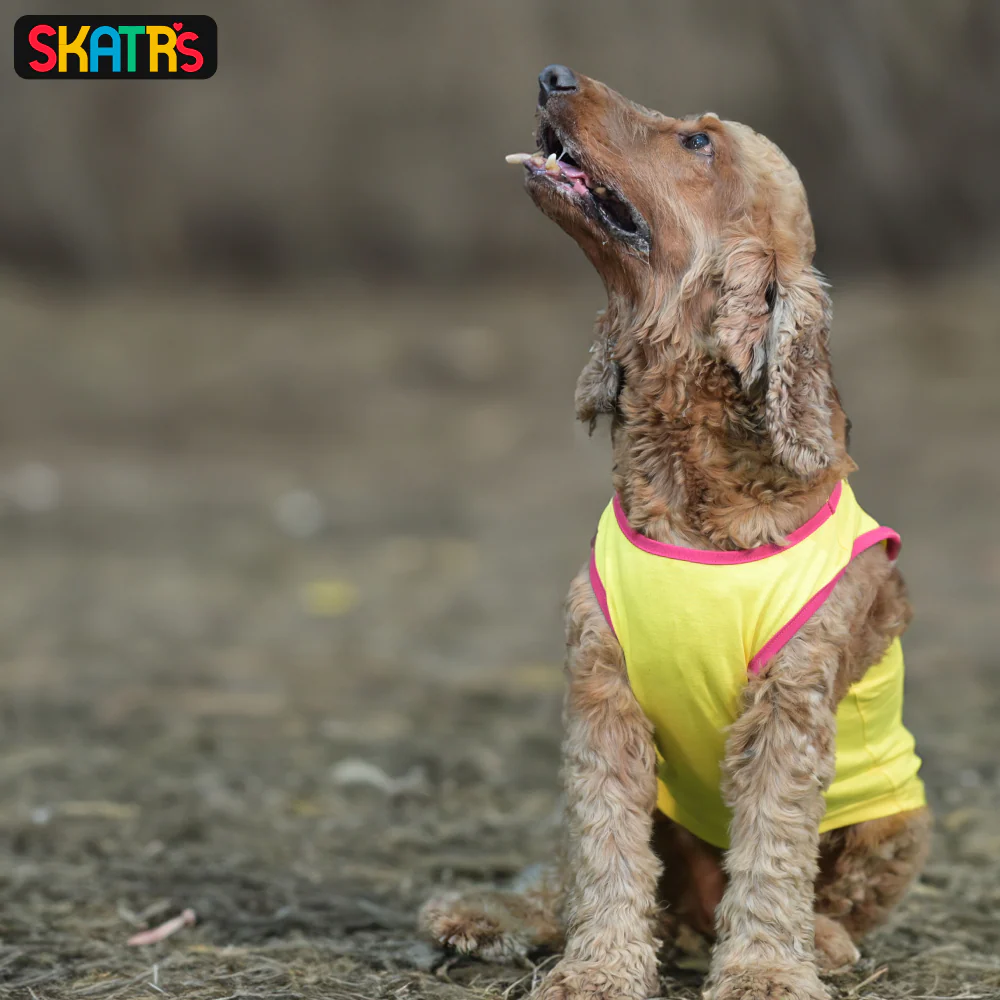 Skatrs No Tricks Only Treats Printed Summer Cotton T Shirt Dogs and Cats (Yellow) - Image 5
