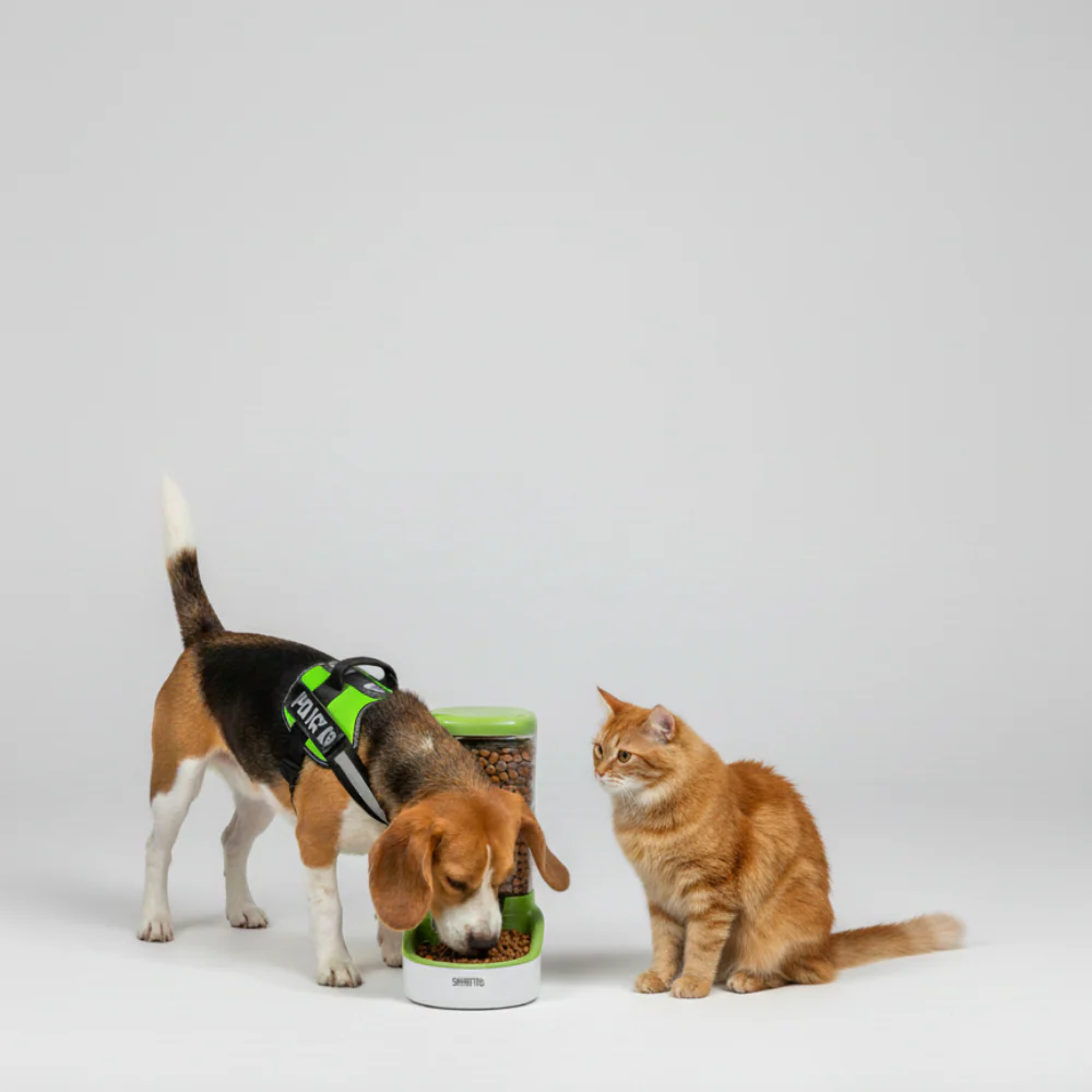Skatrs Food Dispenser for Dogs and Cats - Image 3
