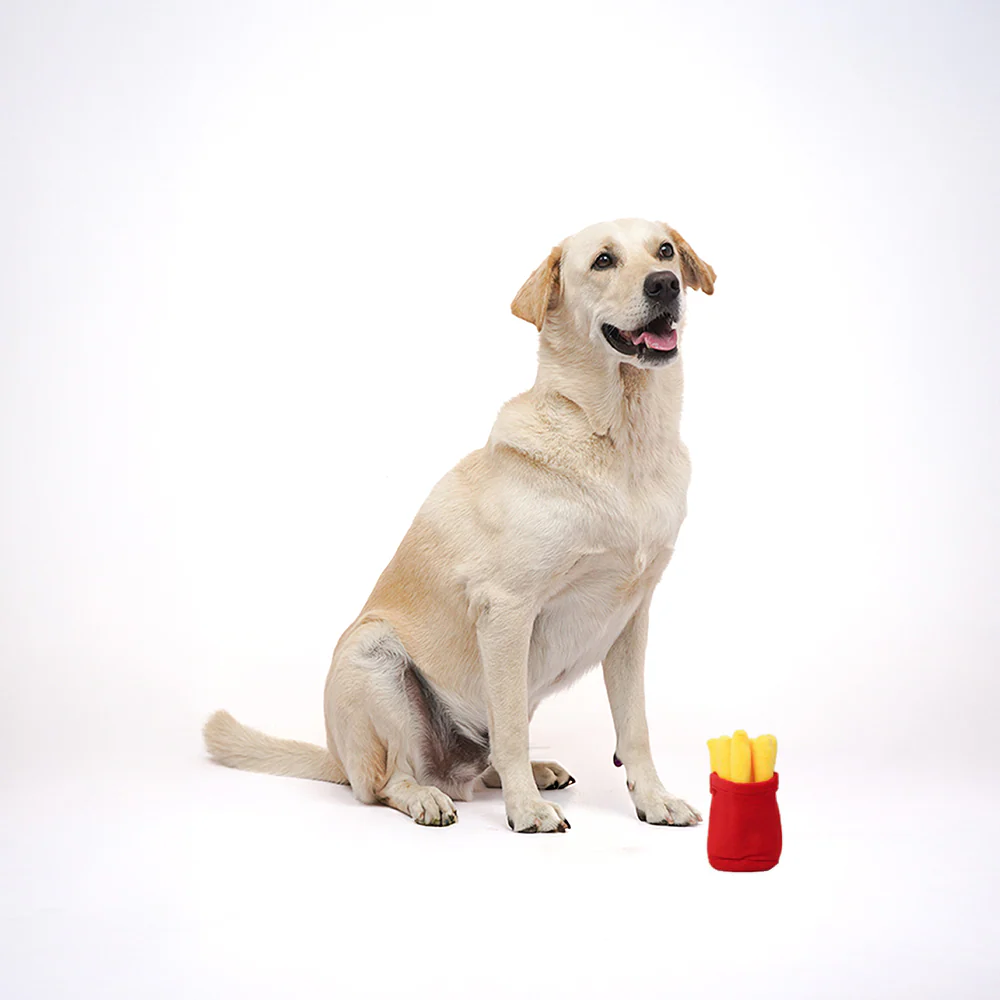 Skatrs French Fries Plush Toy for Dogs - Image 4