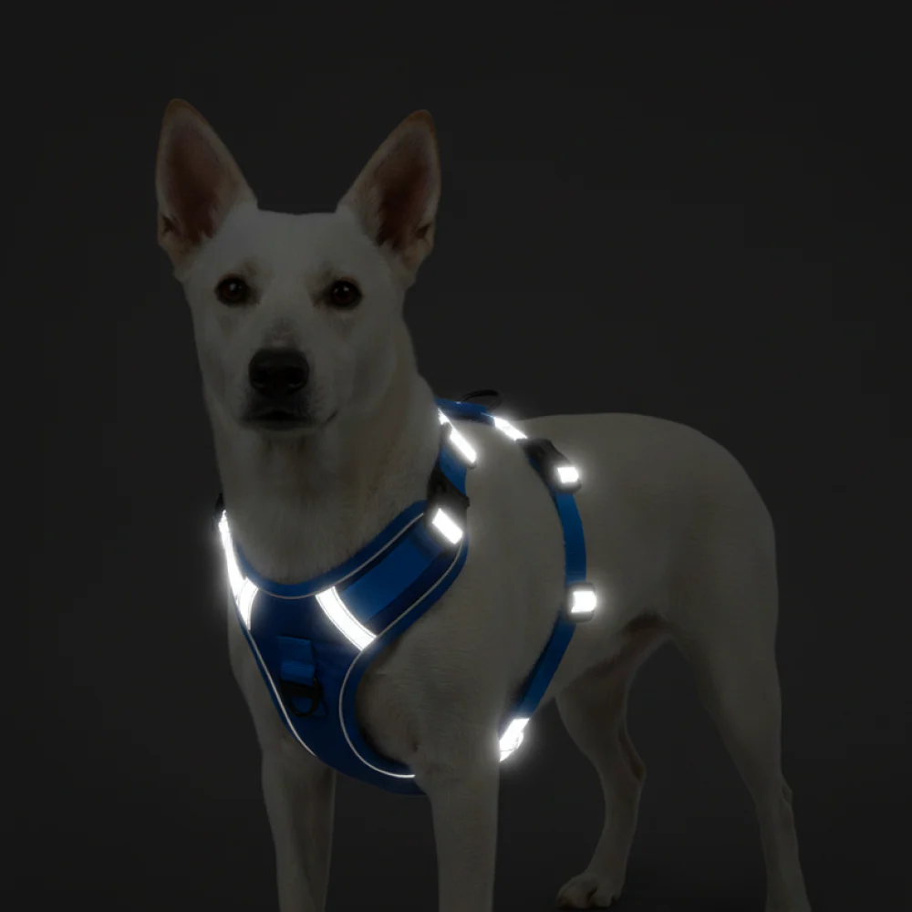 Skatrs Fully Padded Comfort Electric Reflective Harness for Dogs & Cats (Blue) - Image 3