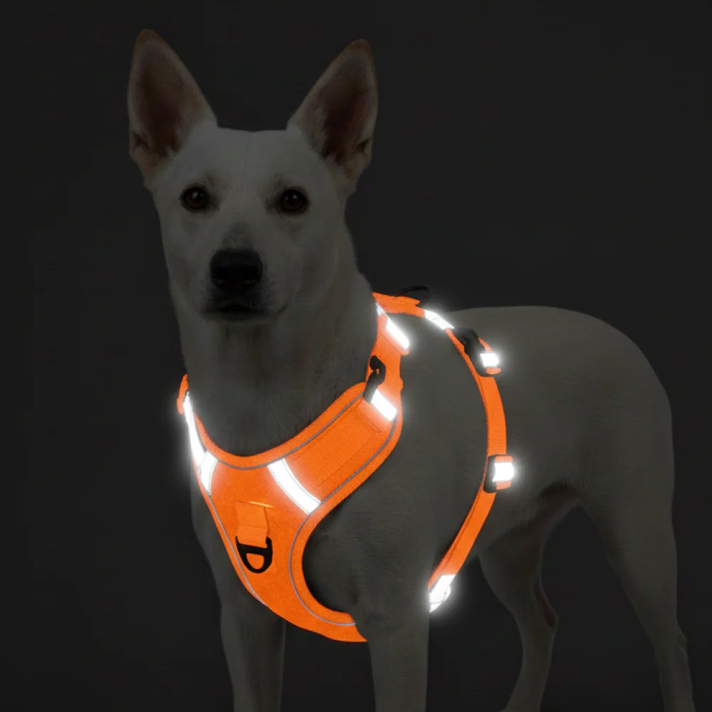 Skatrs Fully Padded Comfort Fiery Reflective Harness for Dogs & Cats (Orange) - Image 3