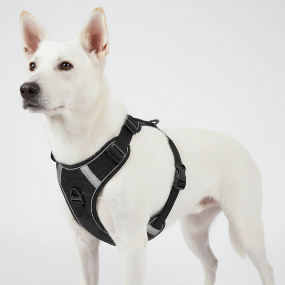 Skatrs Fully Padded Comfort Midnight Reflective Harness for Dogs & Cats (Black) - Image 12