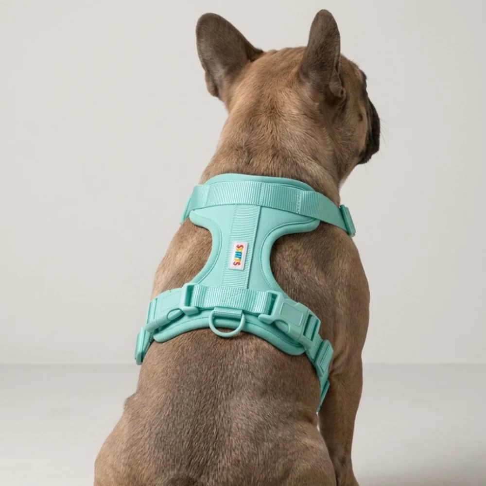 Skatrs Fully Padded Harness for Dogs (Aqua Teal) - Image 2