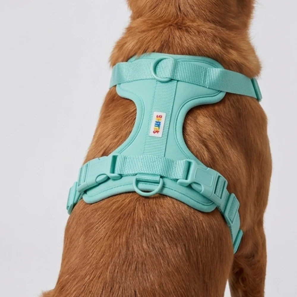 Skatrs Fully Padded Harness for Dogs (Aqua Teal) - Image 4
