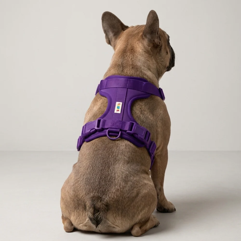 Skatrs Fully Padded Harness for Dogs (Cosmic Purple) - Image 2