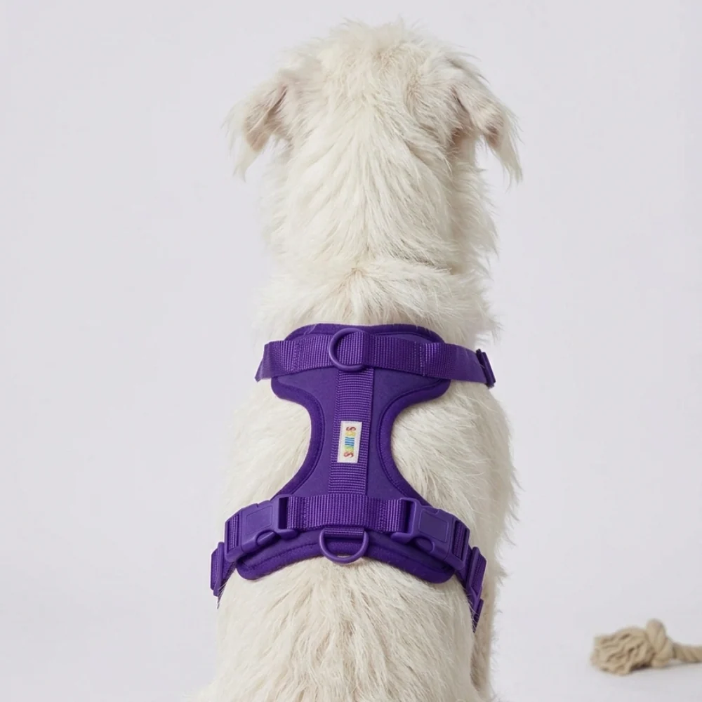Skatrs Fully Padded Harness for Dogs (Cosmic Purple) - Image 3