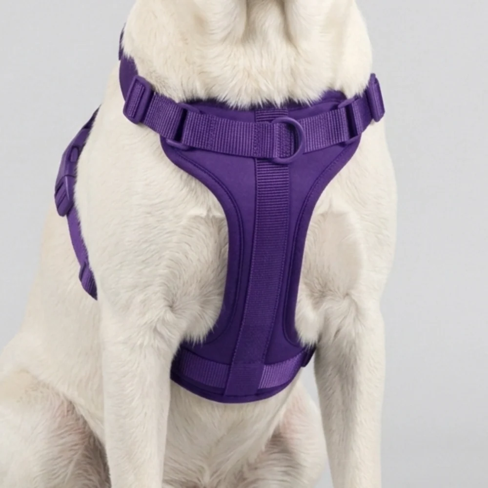 Skatrs Fully Padded Harness for Dogs (Cosmic Purple) - Image 4
