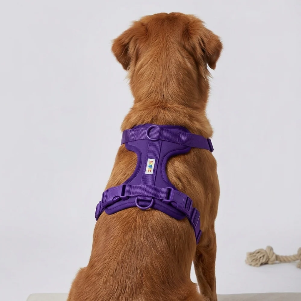 Skatrs Fully Padded Harness for Dogs (Cosmic Purple) - Image 5