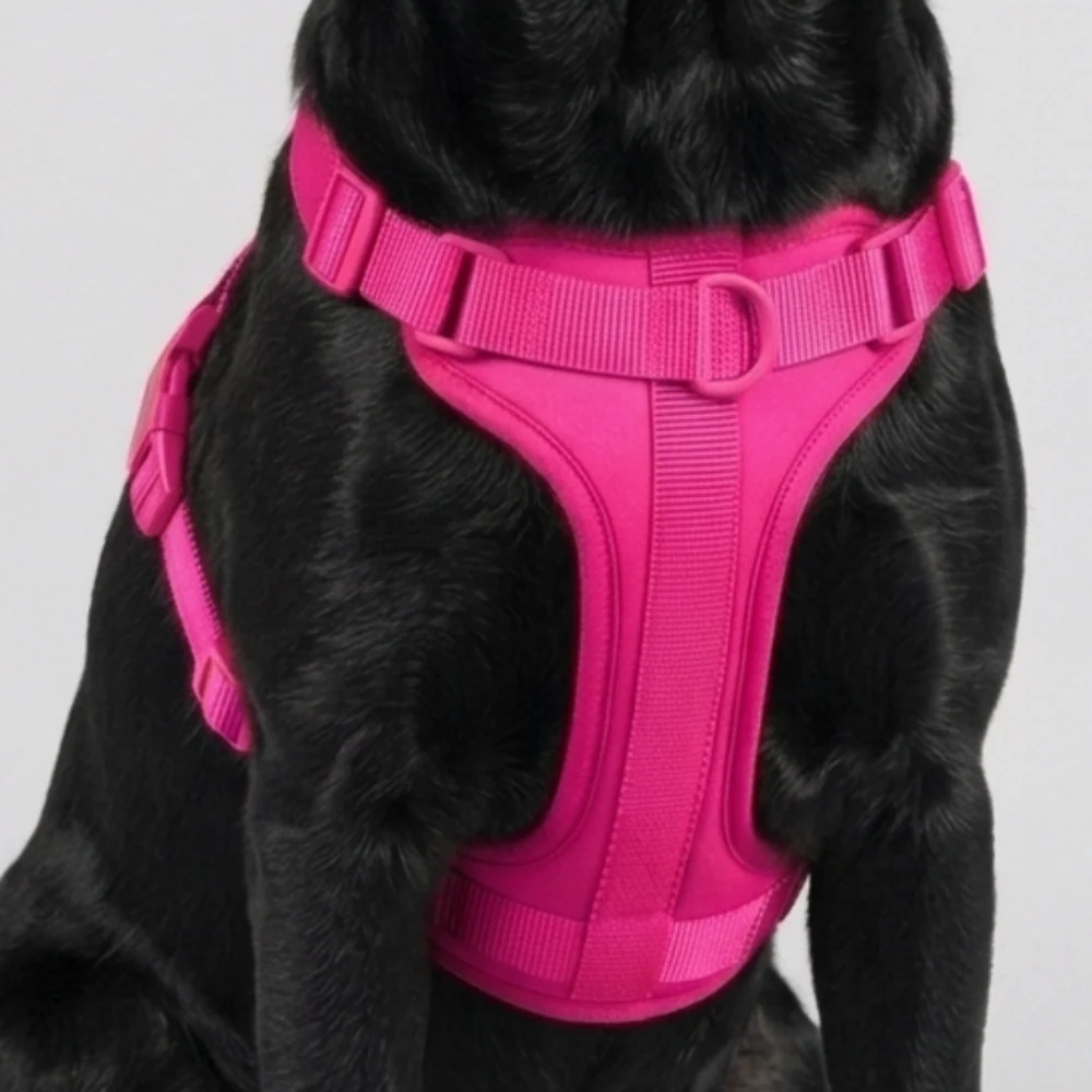 Skatrs Fully Padded Harness for Dogs (Flamingo Pink) - Image 2