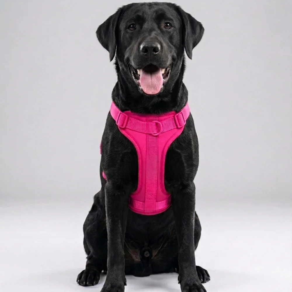 Skatrs Fully Padded Harness for Dogs (Flamingo Pink) - Image 4