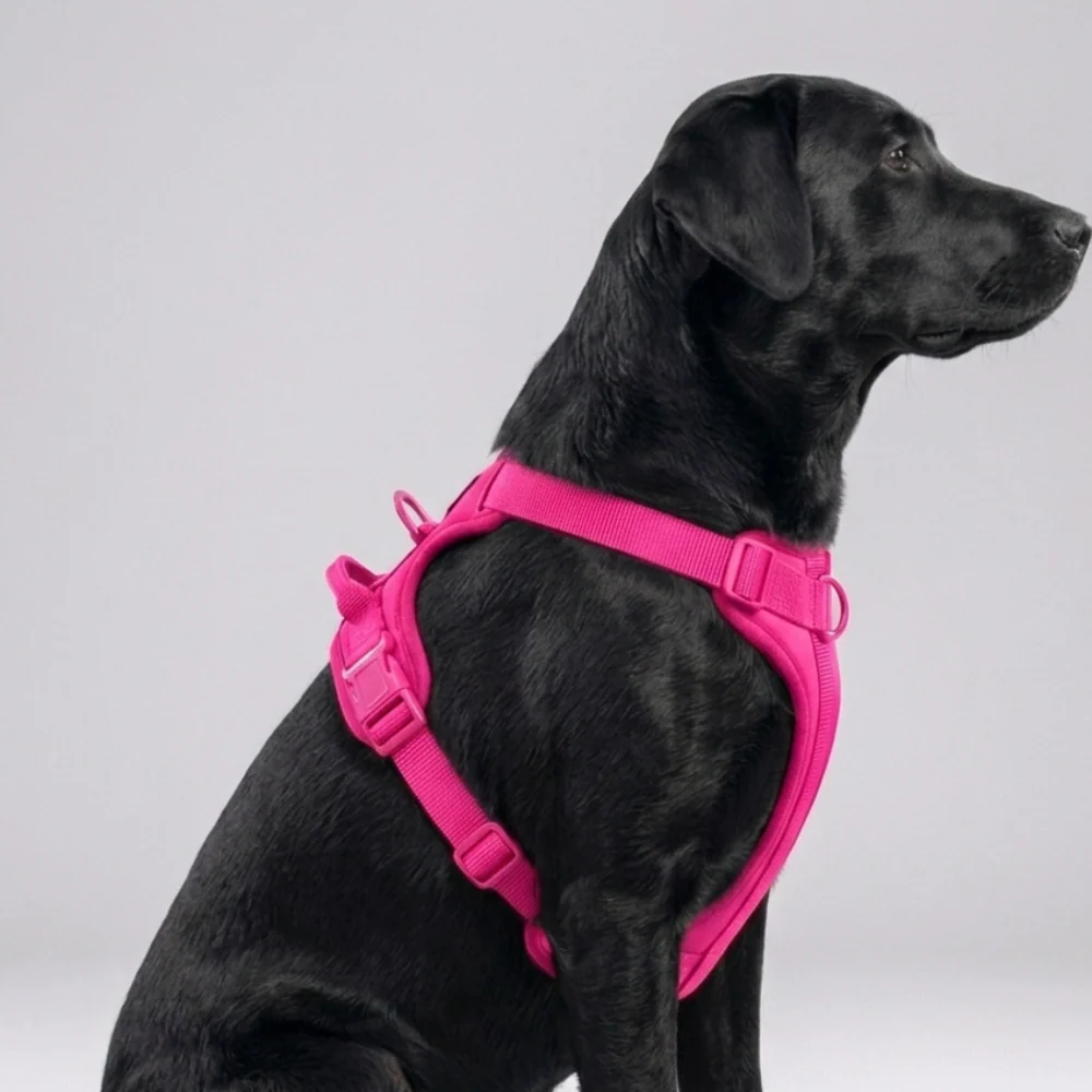 Skatrs Fully Padded Harness for Dogs (Flamingo Pink) - Image 5