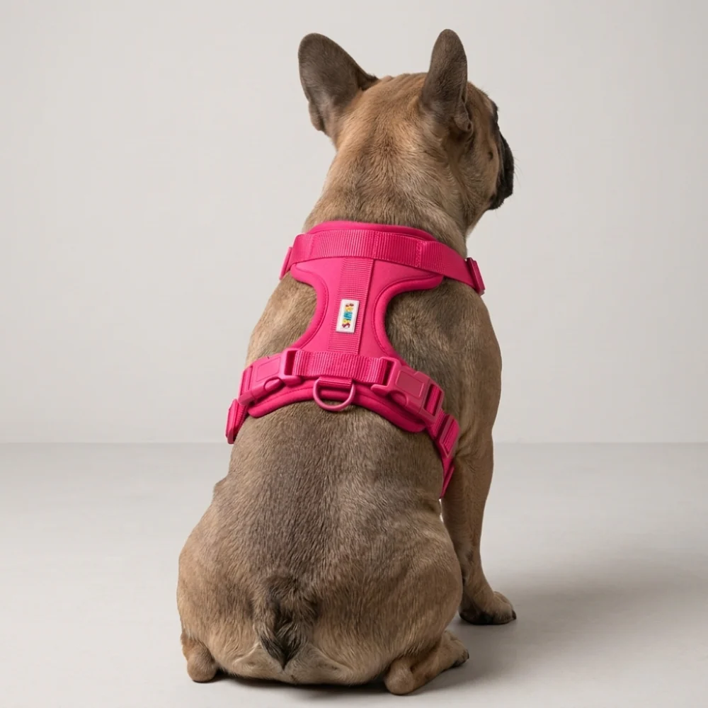 Skatrs Fully Padded Harness for Dogs (Flamingo Pink) - Image 6