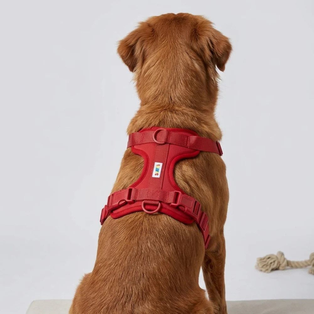 Skatrs Fully Padded Harness for Dogs (Ruby Red) - Image 4