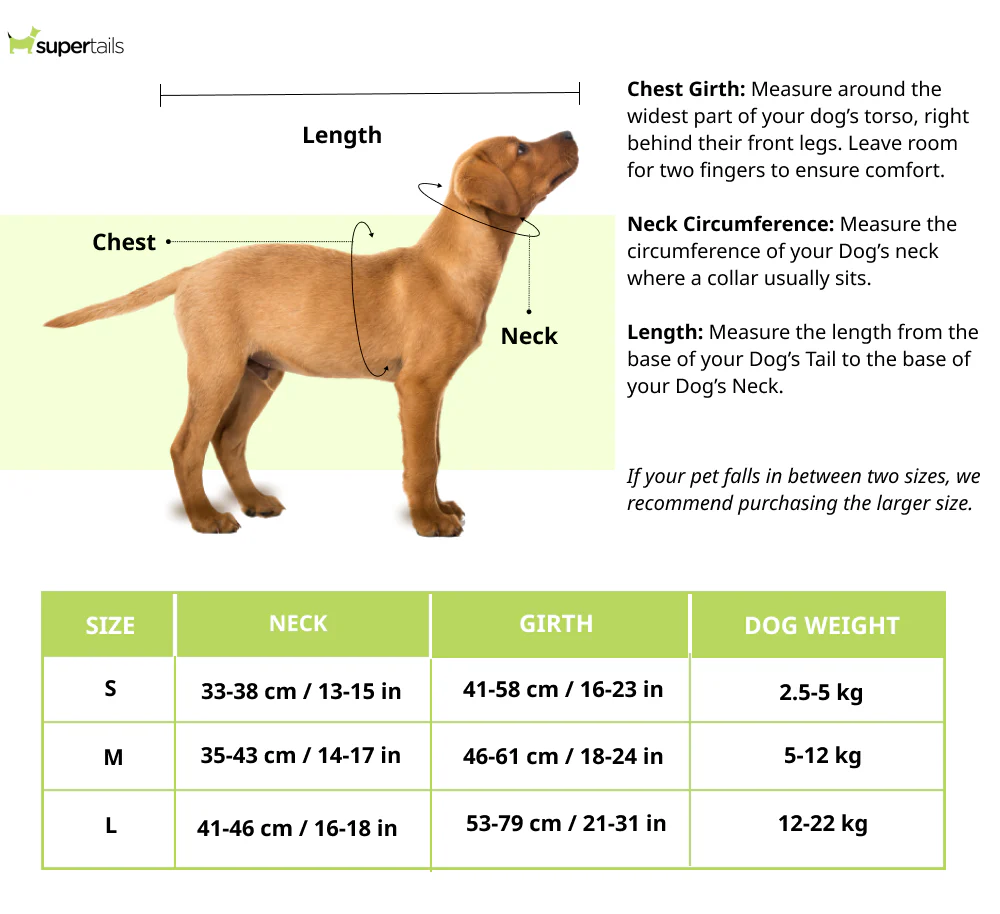 Skatrs Fully Padded Harness for Dogs (Ruby Red) - Image 6