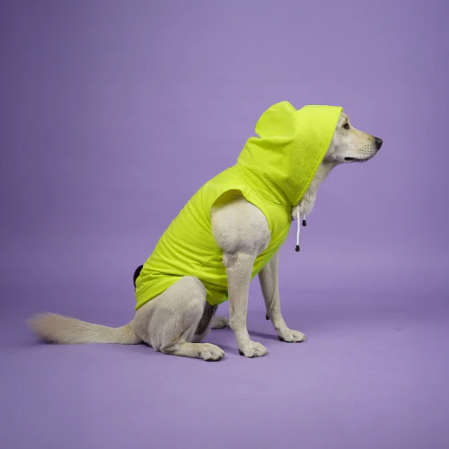 Skatrs Galaxy Breezy Hoodies with Pockets for Dogs and Cats (Green) - Image 3