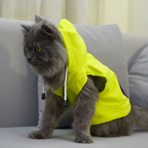 Skatrs Galaxy Breezy Hoodies with Pockets for Dogs and Cats (Green) - Image 4