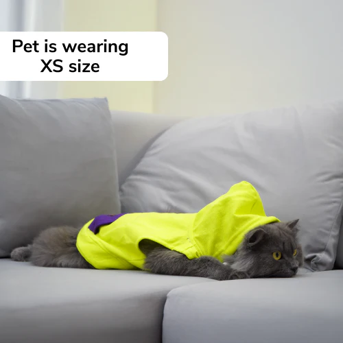 Skatrs Galaxy Breezy Hoodies with Pockets for Dogs and Cats (Green) - Image 6