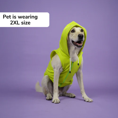 Skatrs Galaxy Breezy Hoodies with Pockets for Dogs and Cats (Green) - Image 7