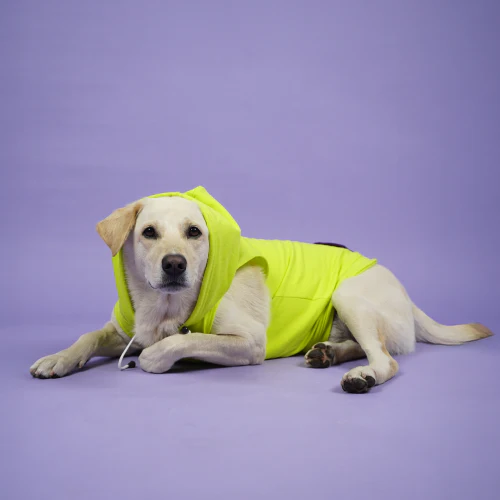 Skatrs Galaxy Breezy Hoodies with Pockets for Dogs and Cats (Green) - Image 9