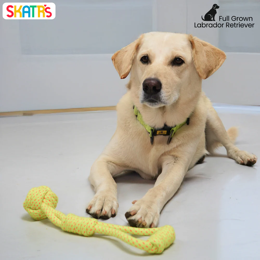Skatrs Hand Made Knotted Ball Rope Tug Toy for Dogs and Cats (Neon Green) - Image 4