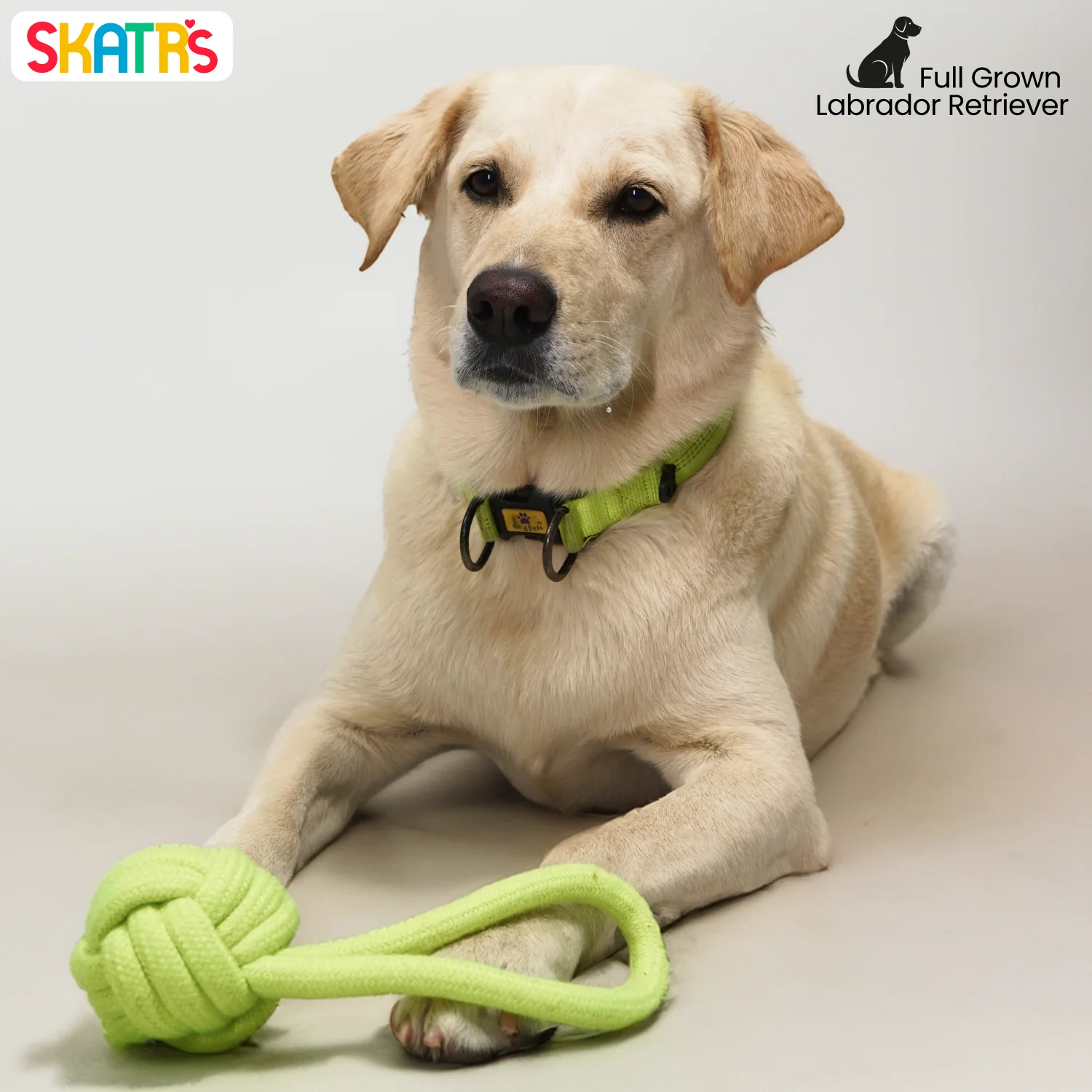 Skatrs Hand Made Knotted Ball with Handle Rope Chew Toy for Cats and Dogs (Neon Green) - Image 4