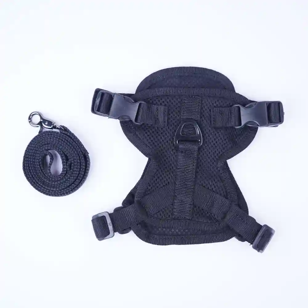 Skatrs Harness with Leash for Cats (Black) - Image 4