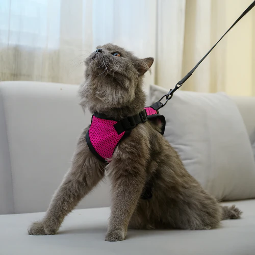 Skatrs Harness with Leash for Cats (Pink) - Image 4