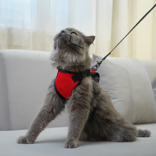 Skatrs Harness with Leash for Cats (Red) - Image 2