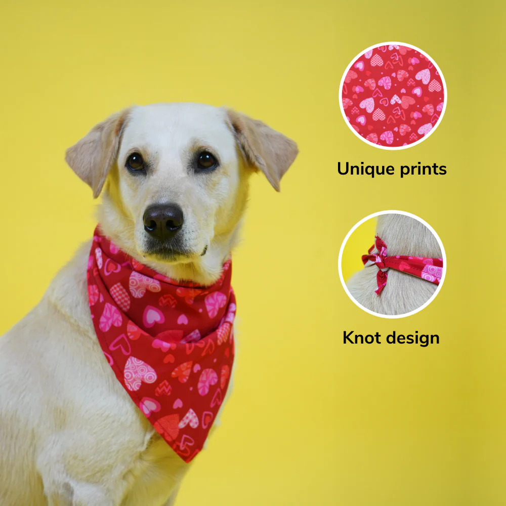 Skatrs Heart Printed Bandana for Dogs and Cats (Red) - Image 3