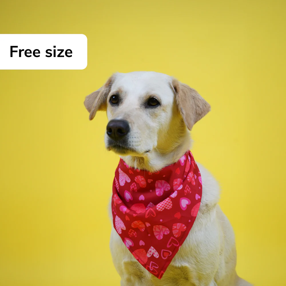 Skatrs Heart Printed Bandana for Dogs and Cats (Red) - Image 4