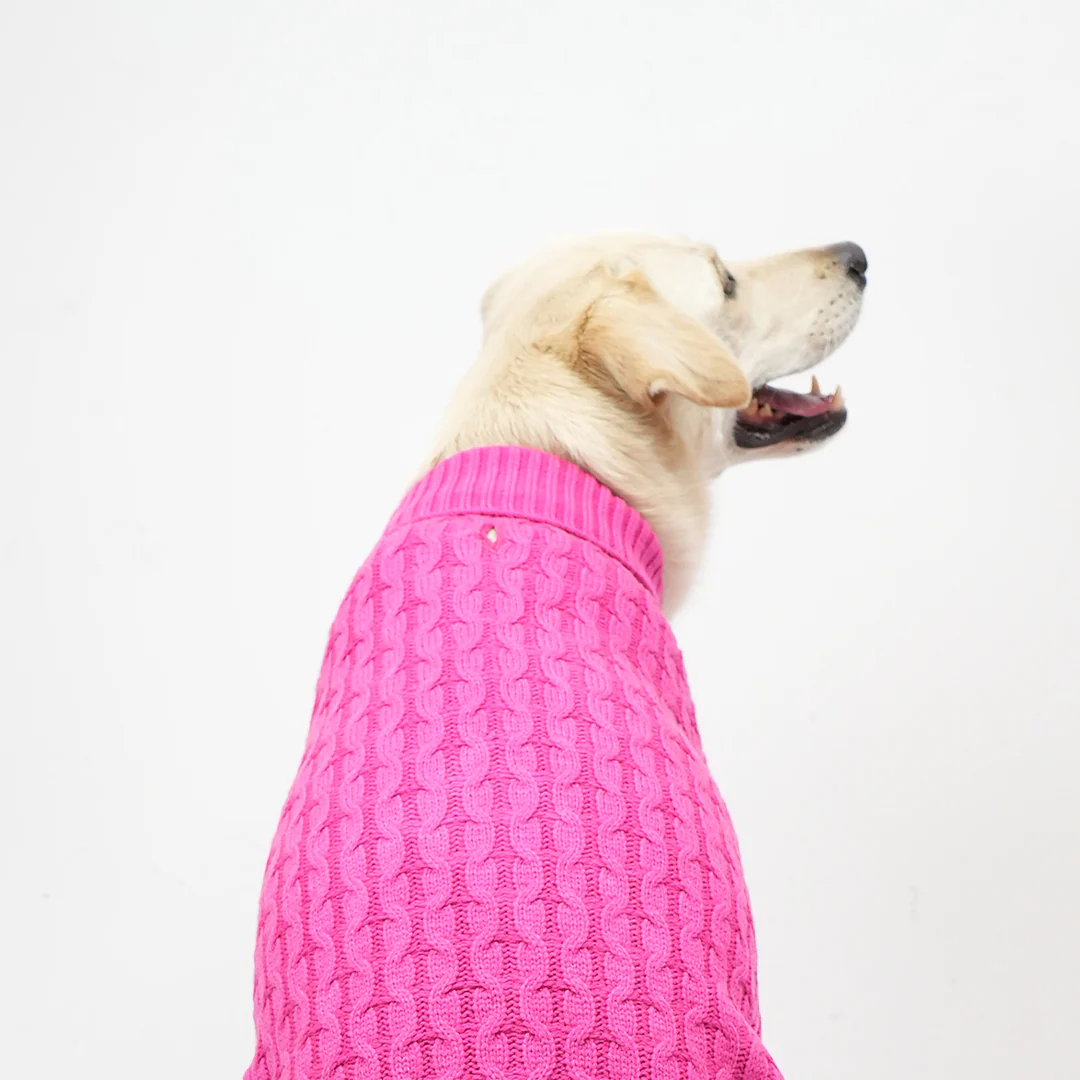 Skatrs Hot Pink Sweater For Dogs and Cats - Image 10