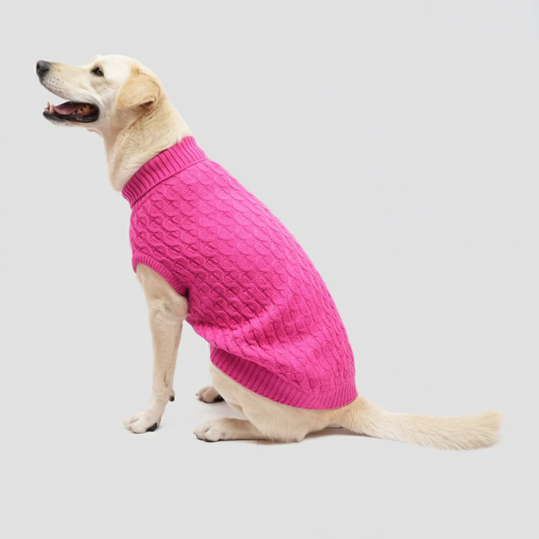 Skatrs Hot Pink Sweater For Dogs and Cats - Image 6