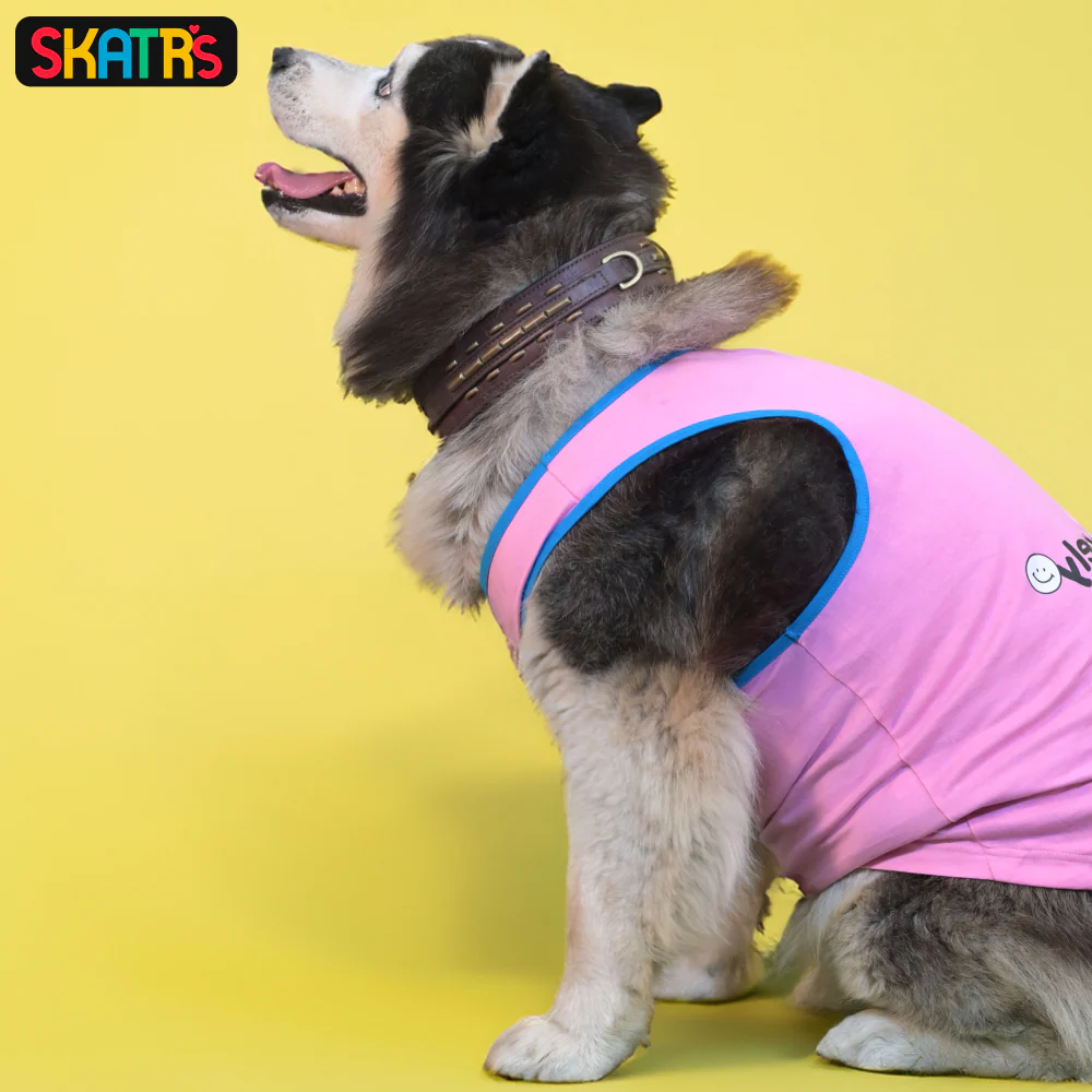 Skatrs Pawsitively Adorable Printed Summer Cotton T Shirt for Dogs and Cats (Pink) - Image 5