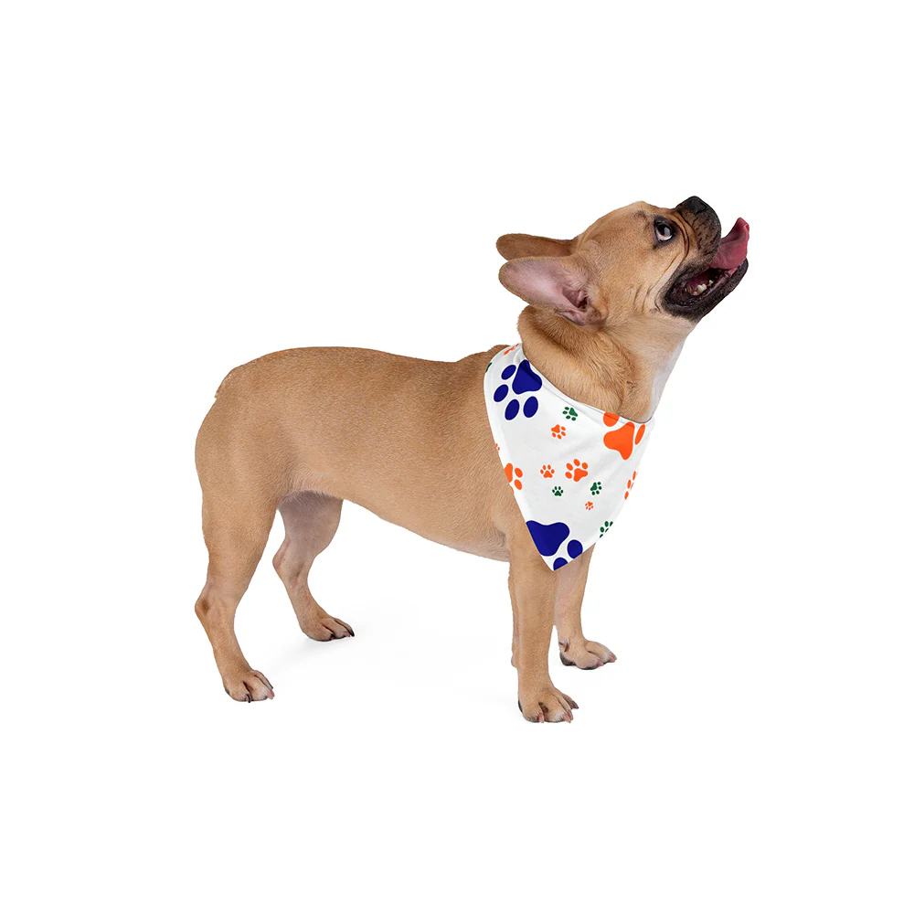 Skatrs IndiePaw Bandana for Dogs and Cats - Image 4