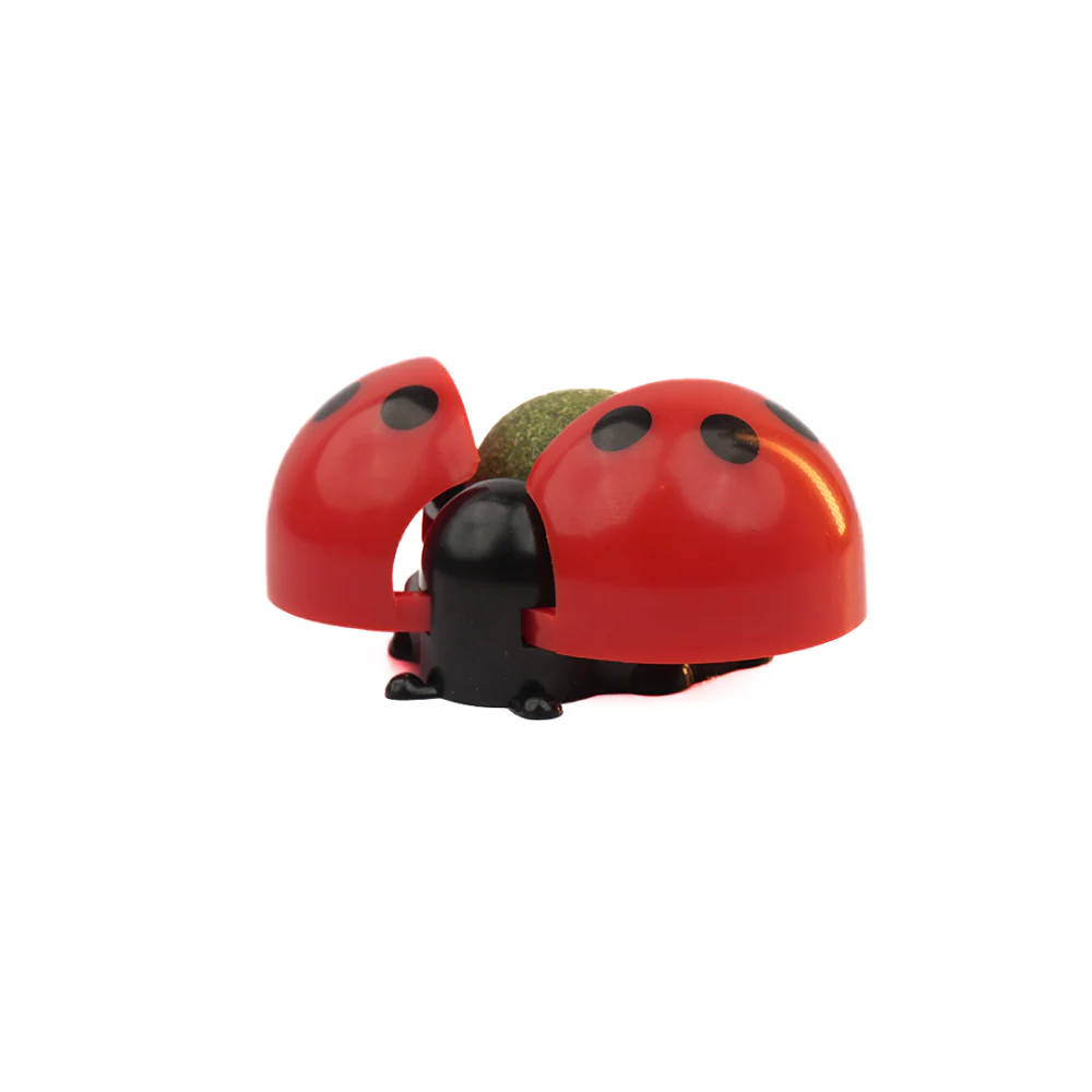 Skatrs Ladybug Catnip Ball Toy for Cats - Image 6