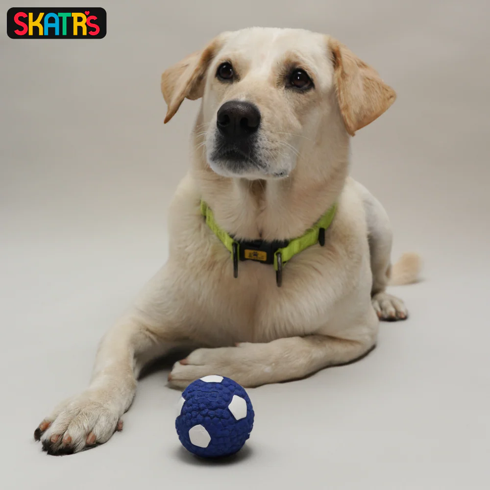 Skatrs Latex Football Toy for Dogs and Cats (Blue & White) - Image 2