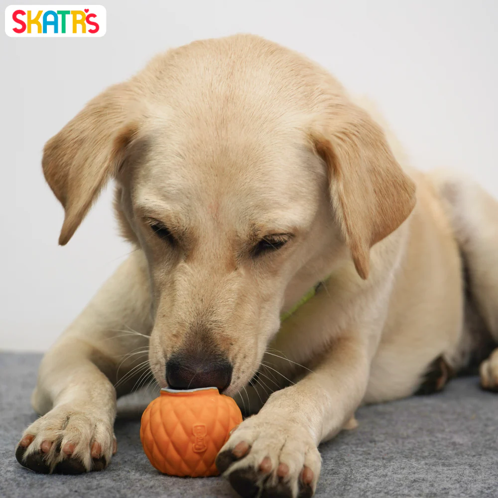 Skatrs Latex Squeaky Pineapple Shaped Toy for Dogs and Cats (Yellow) - Image 2