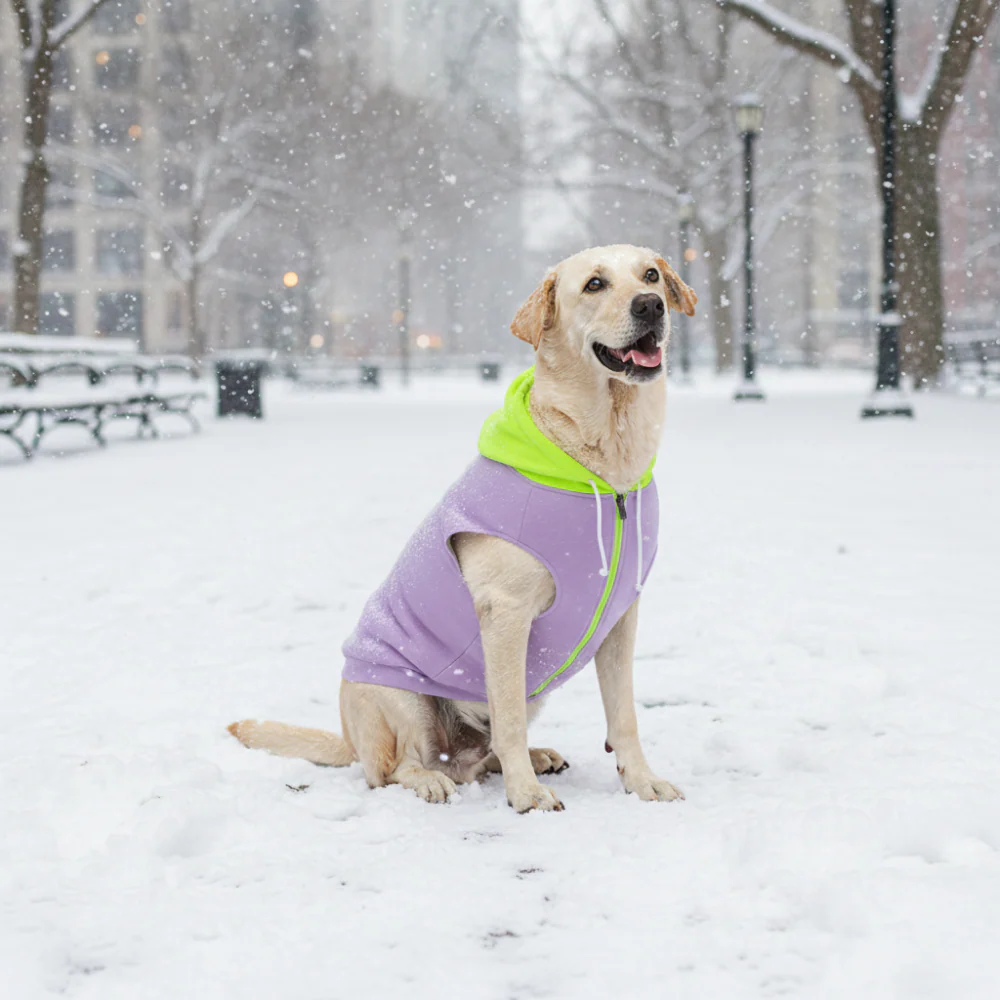 Skatrs Lilac Pop In-Style Hoodie For Dogs and Cats(Lilac & Neon Green) - Image 12