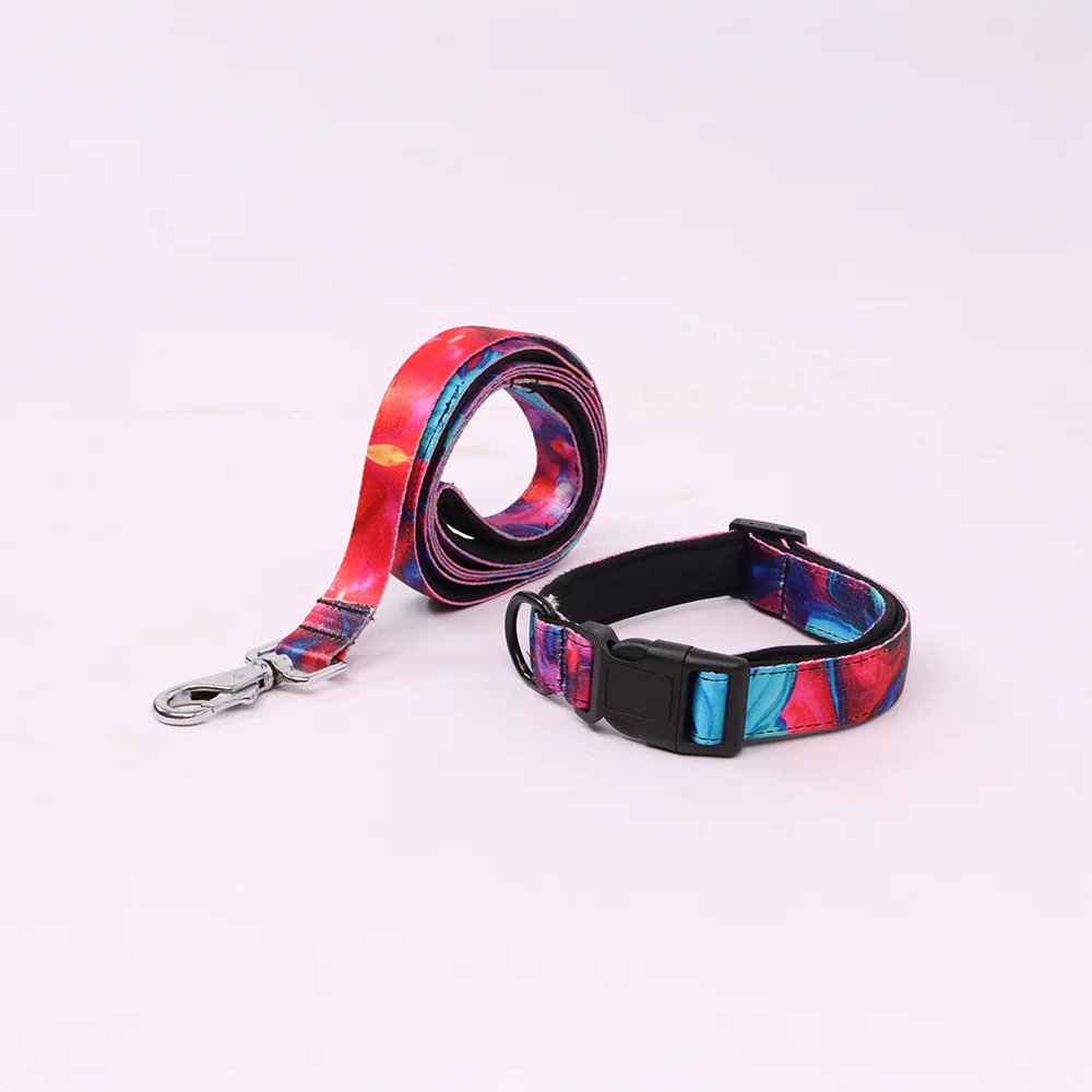 Skatrs Liquid Art Leash for Dogs - Image 4