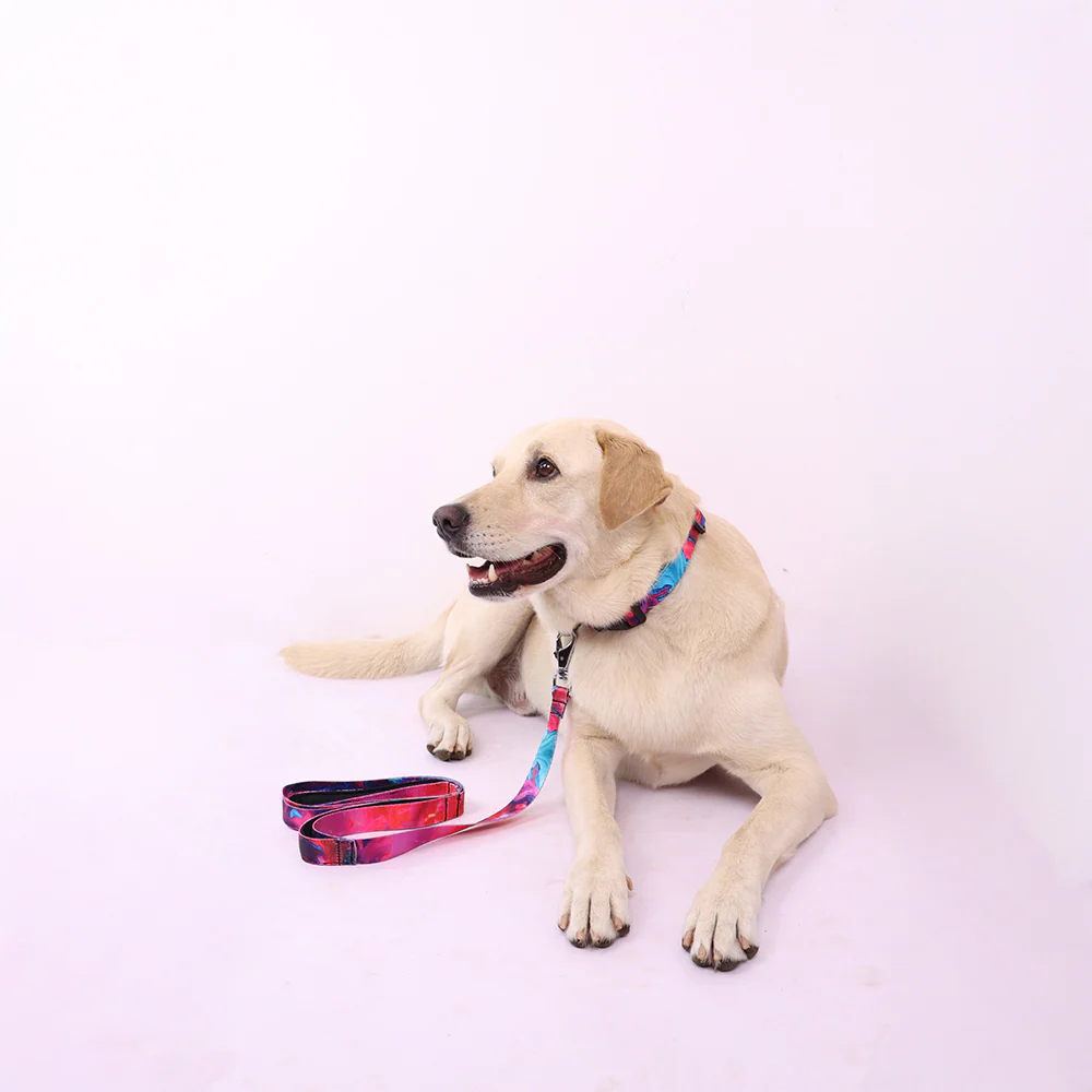 Skatrs Liquid Art Leash for Dogs - Image 5