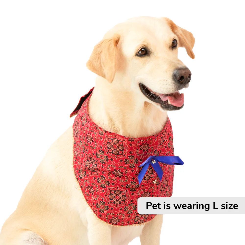 Skatrs Mandala Bandana for Cats and Dogs (Red) - Image 2