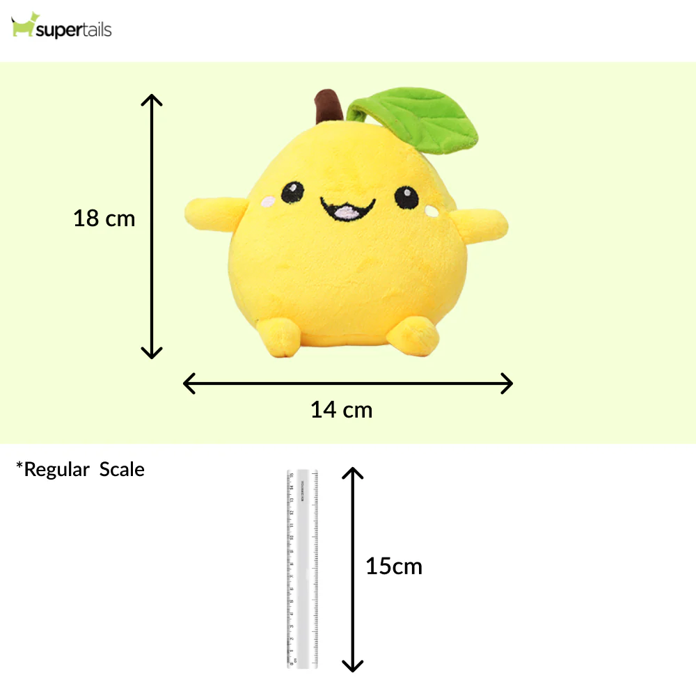 Skatrs Mango Plush Toy for Dogs - Image 2