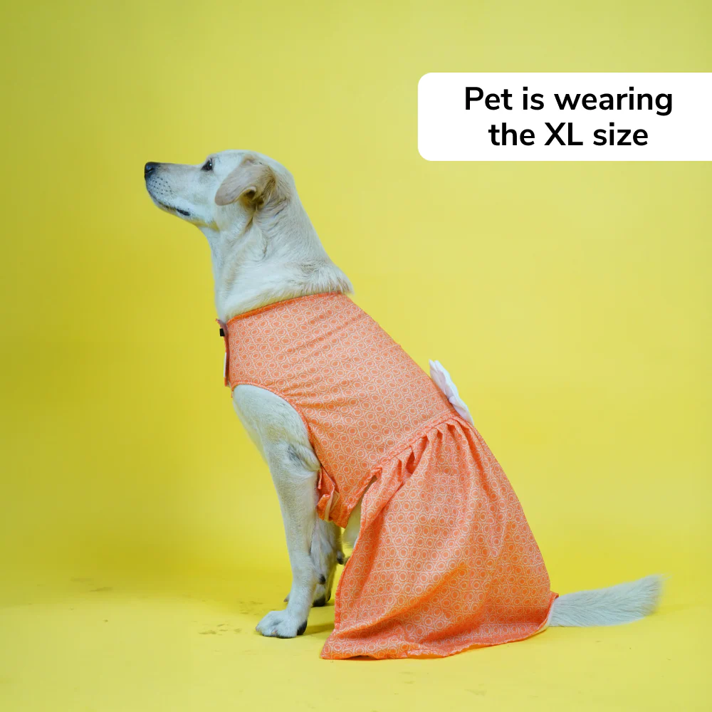 Skatrs Marigold Mandala Printed Dress for Dogs and Cats (Orange) - Image 5
