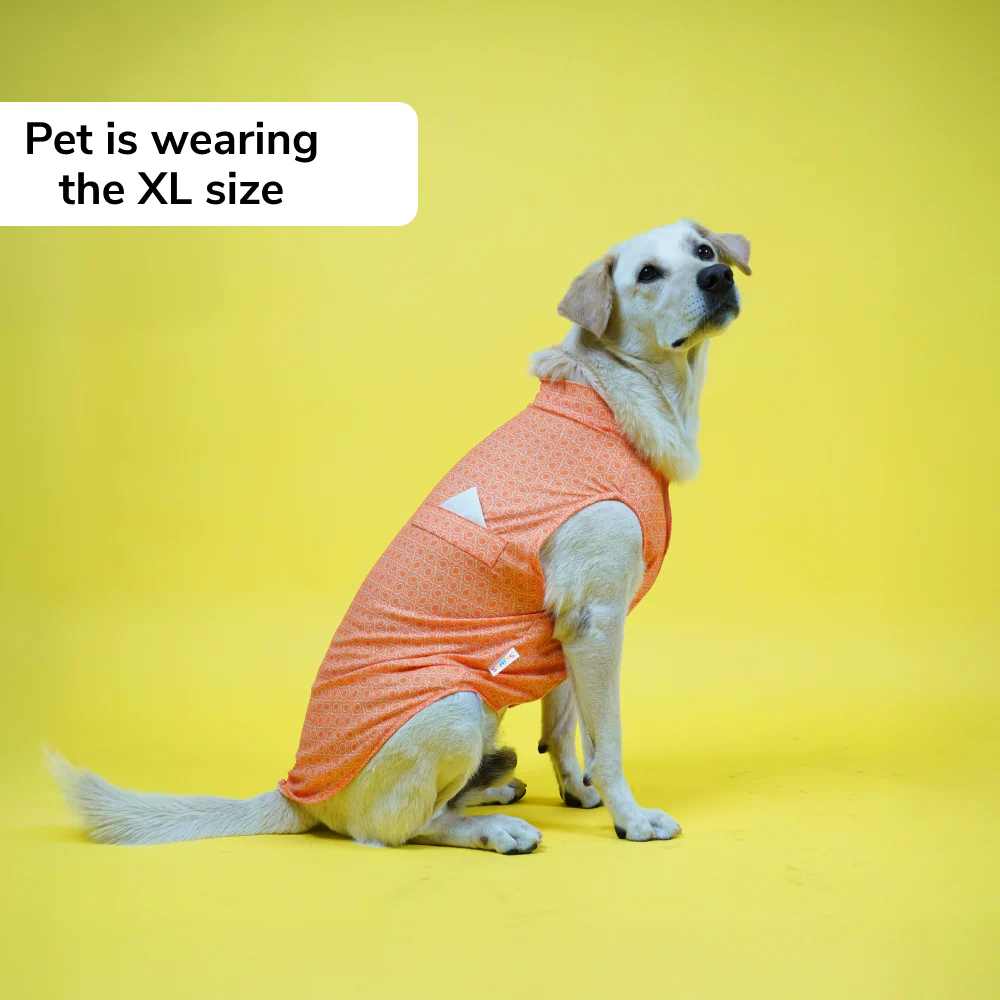 Skatrs Marigold Mandala Printed Kurta for Dogs and Cats (Orange) - Image 4