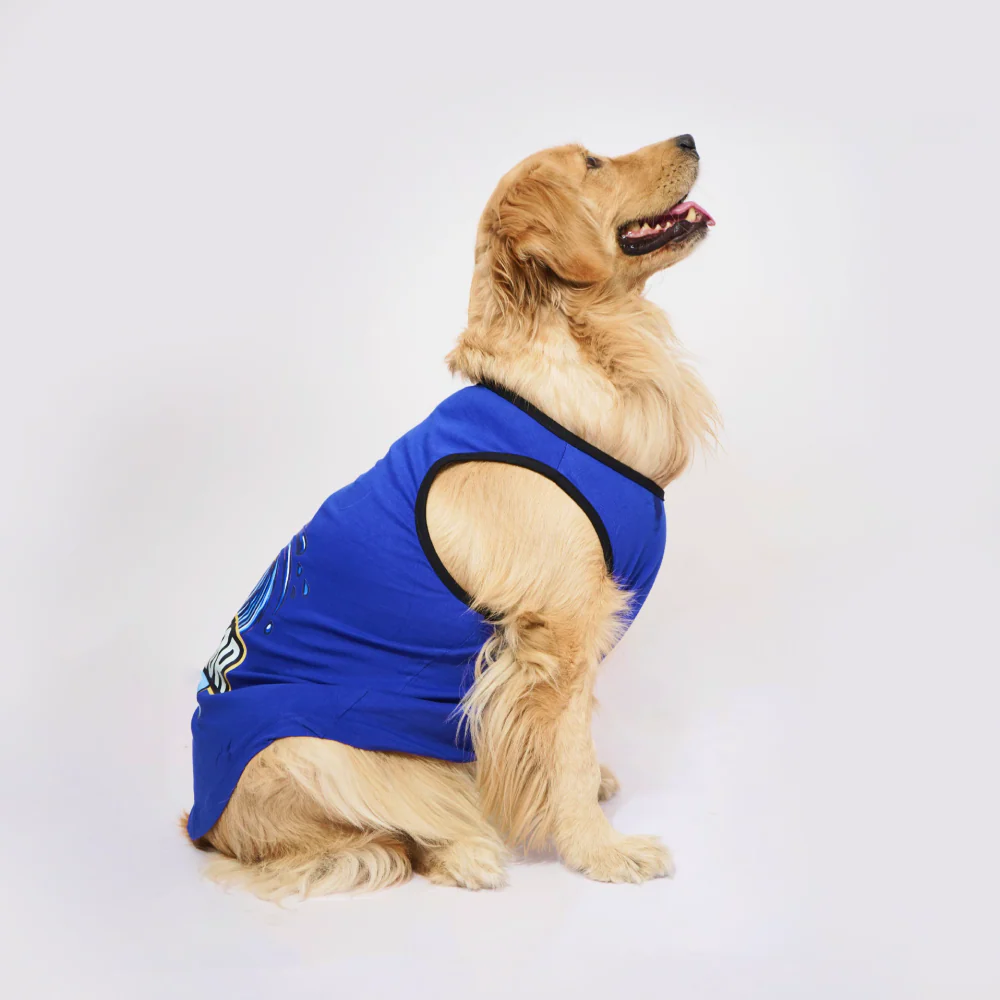 Skatrs Mastikhor Indians Cricket Jersey for Dogs and Cats (Blue) - Image 5