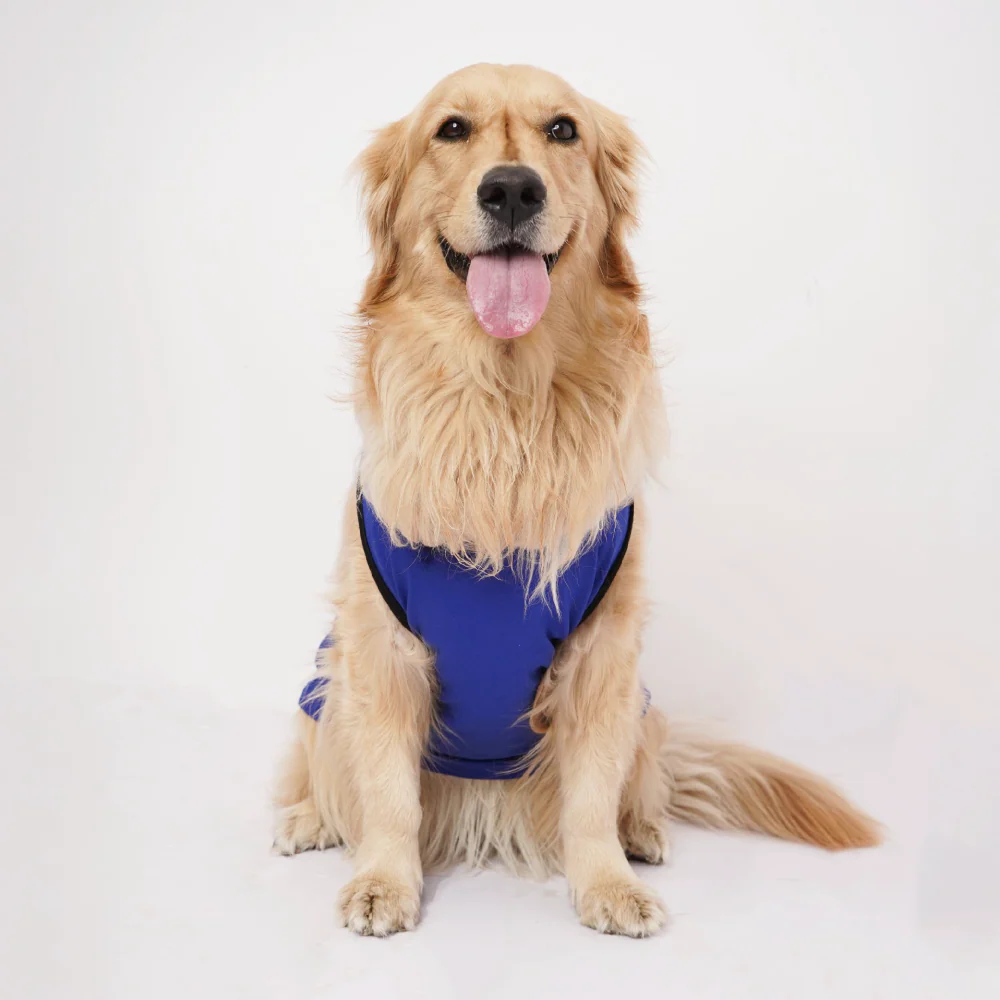 Skatrs Mastikhor Indians Cricket Jersey for Dogs and Cats (Blue) - Image 6
