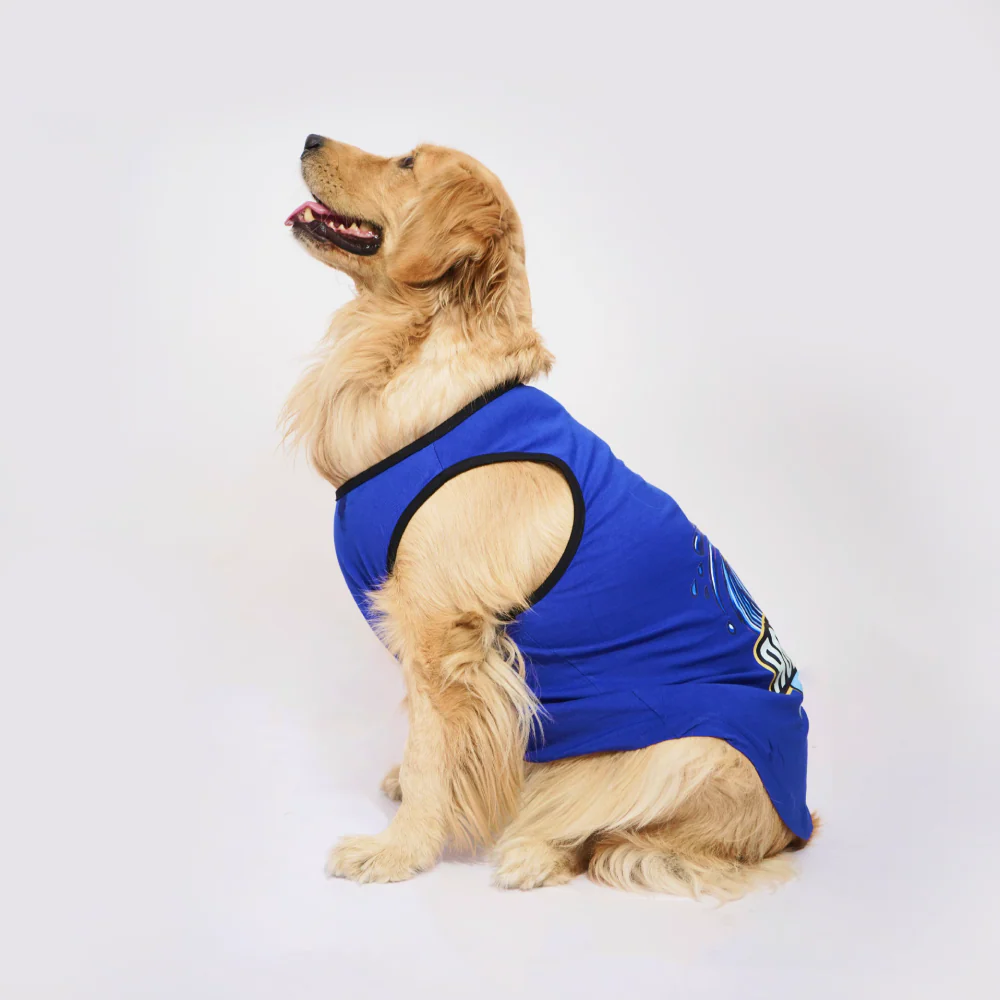 Skatrs Mastikhor Indians Cricket Jersey for Dogs and Cats (Blue) - Image 7