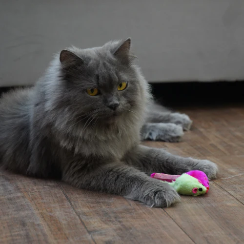 Skatrs Mouse Rattle Toy Set for Cats (Cyan/Pink) - Image 4